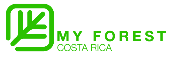 logo my forest